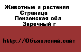  Животные и растения - Страница 15 . Пензенская обл.,Заречный г.